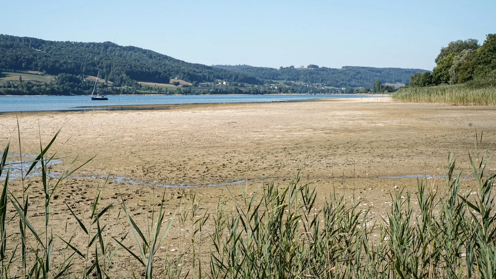 The Lake Wedowee Fall Drawdown Explained: What the 8-Foot Drop Means for Your Dock, Your Lot, and Your Closing