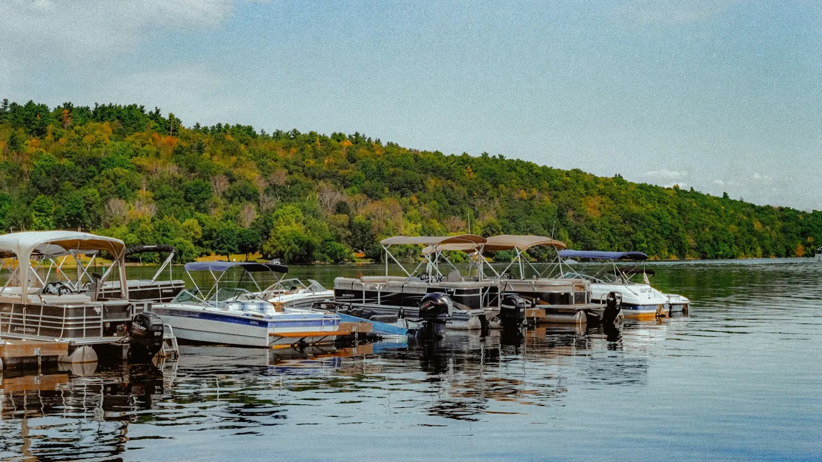 Where to Launch, Eat, and Swim: A Visitor's Guide to Lake Wedowee's Public Ramps, Parks, Marinas, and Restaurants