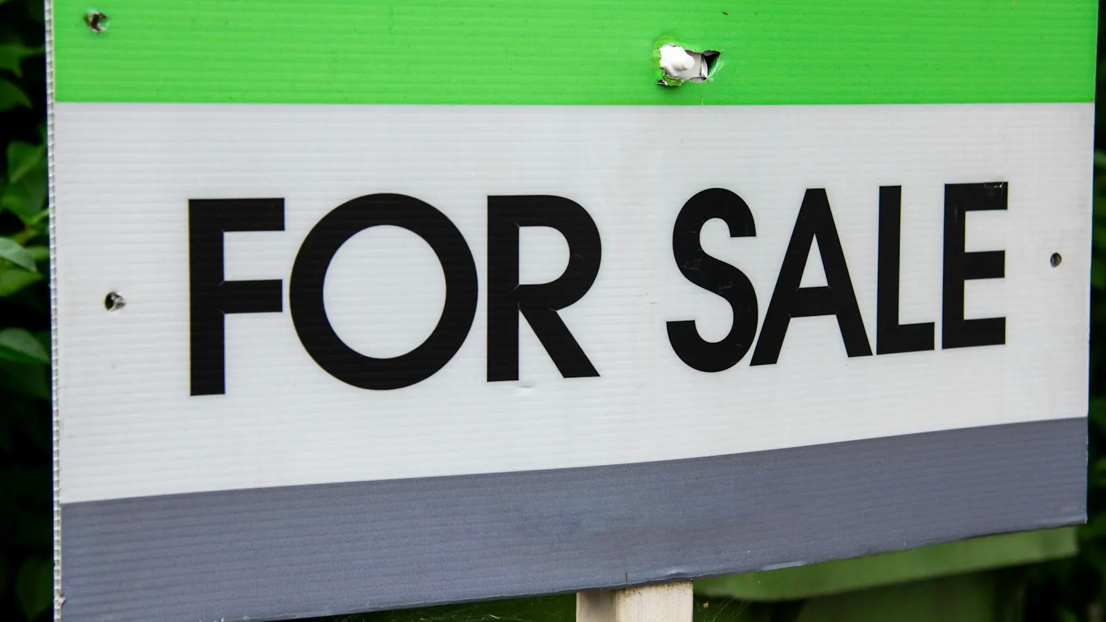Real Estate Agent, Realtor, or Sell It Yourself? A Lake Wedowee Seller's Guide to the Three Options