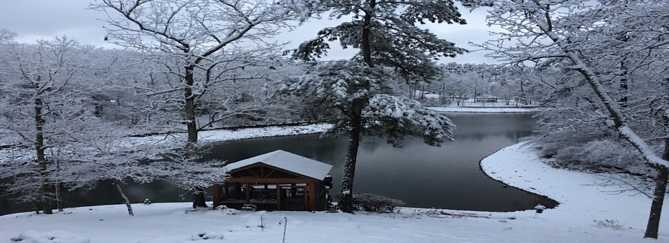 Photo · Lake Wedowee at sunset