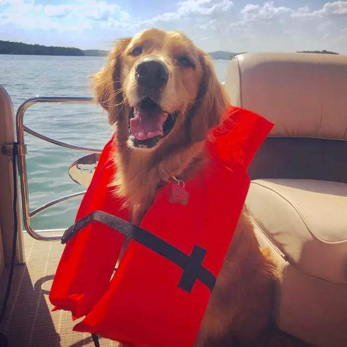 Life jacket on, ready to cruise
