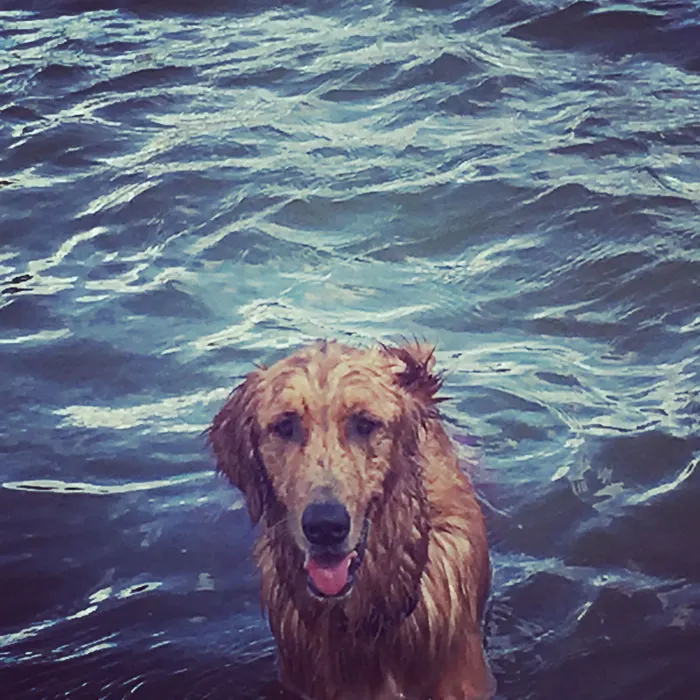 Out for a swim, all smiles