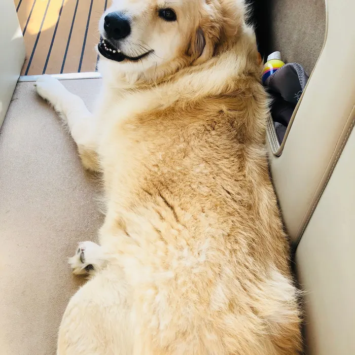 Stretched out on the boat floor after a long lake day