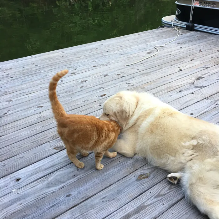Making friends on the dock